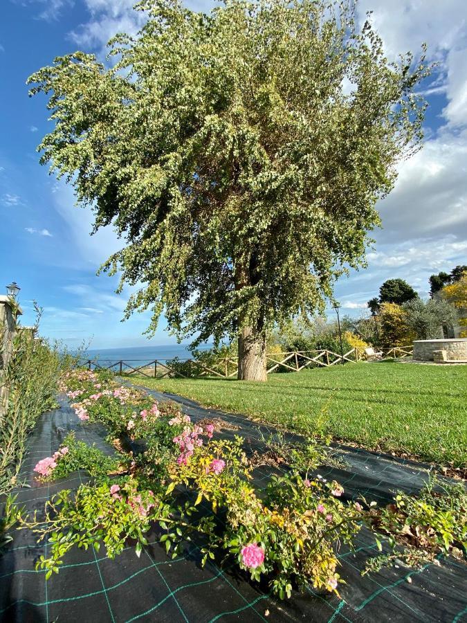 Residenza B&B Vistamare Петаччато Екстер'єр фото